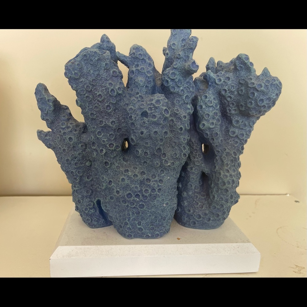 Ocean life Decoration